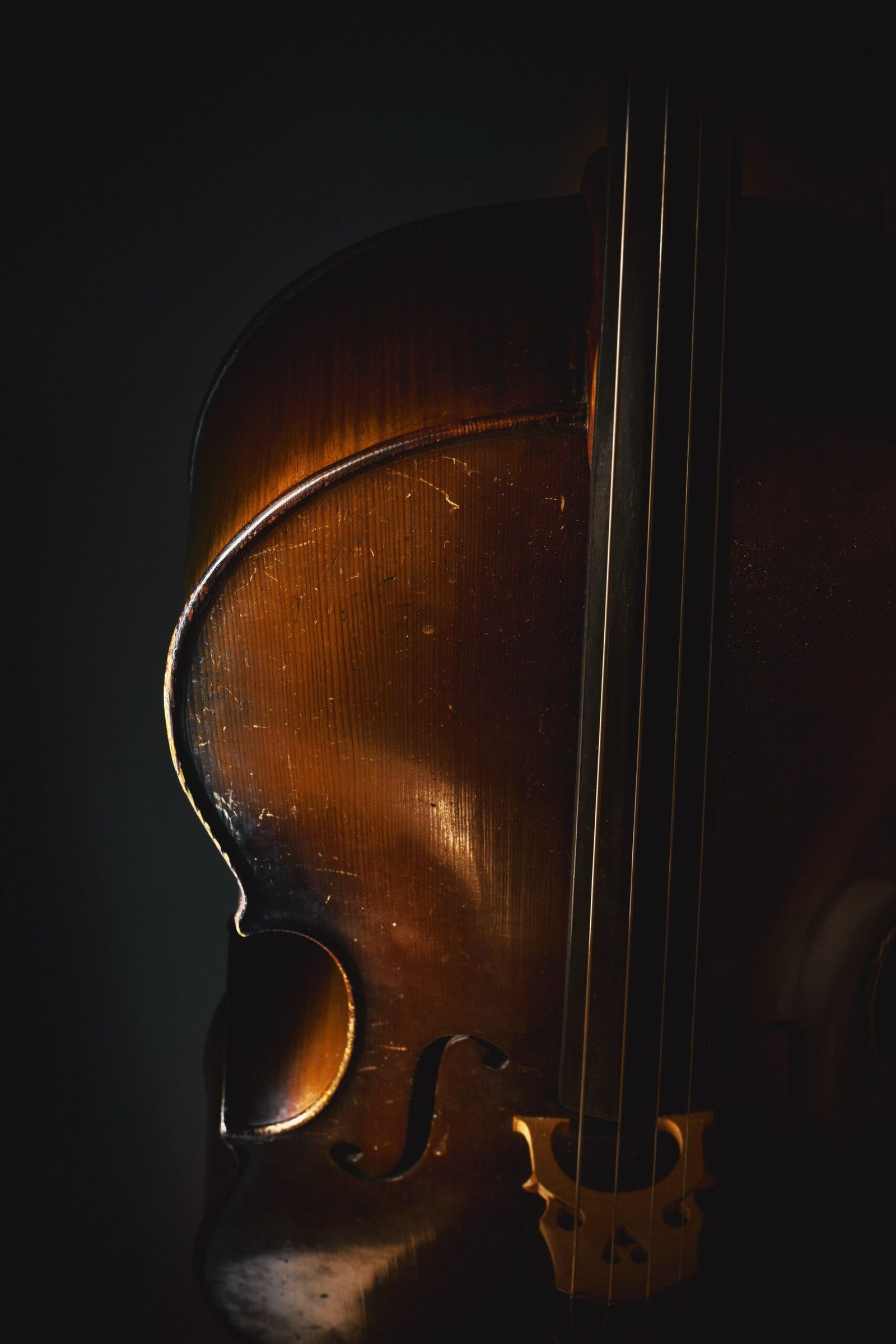 The Stradivarius Violin: A Masterpiece That Still Breathes (Old Wooden Cello, CC BY 2.0)