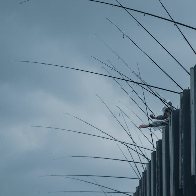 Destin Fishing Rodeo (Image Credits: Pexels)