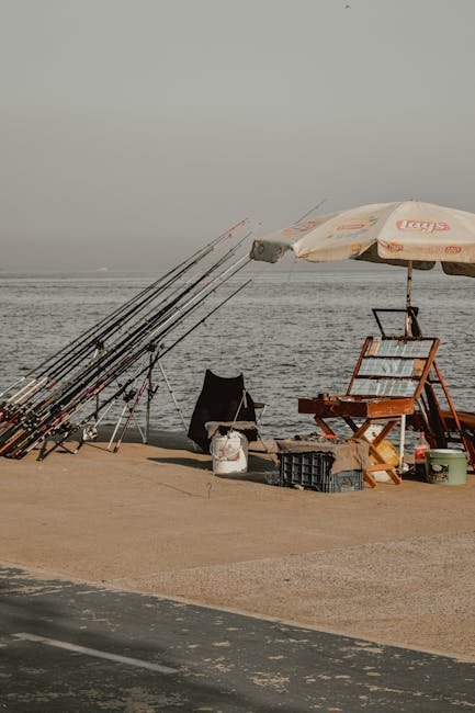 Plan Your Angling Road Trip (Image Credits: Pexels)