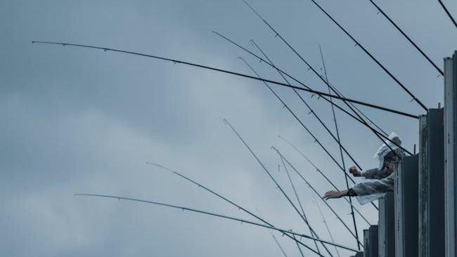 The Best Fishing Festivals in the US for 2026