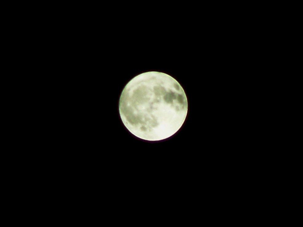 Woman in the Moon (1929) (Dhaval Jani, Flickr, CC BY 2.0)