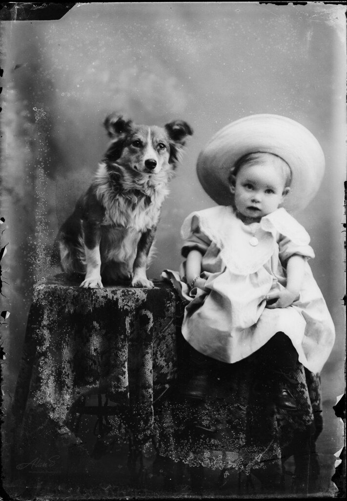 4. Dry Plate Photography and Gelatin Emulsions: Photography for Everyone (Image Credits: Flickr)