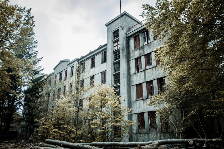 Conclusion (Image Credits: Pexels)