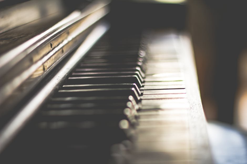 Beethoven: Moonlight Sonata, First Movement (Image Credits: Pexels)