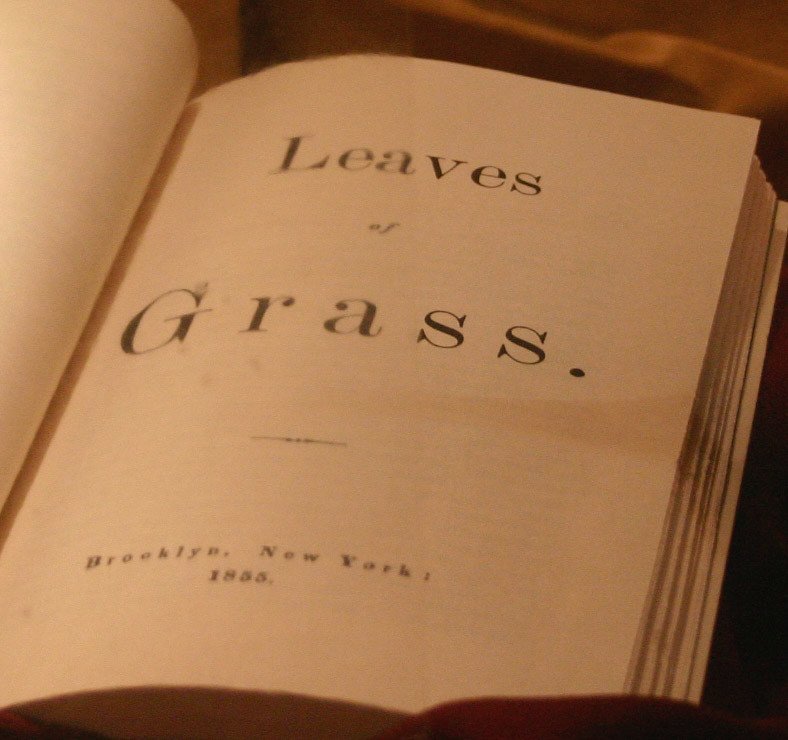 Leaves of Grass by Walt Whitman (1855) (dbking, Flickr, CC BY 2.0)