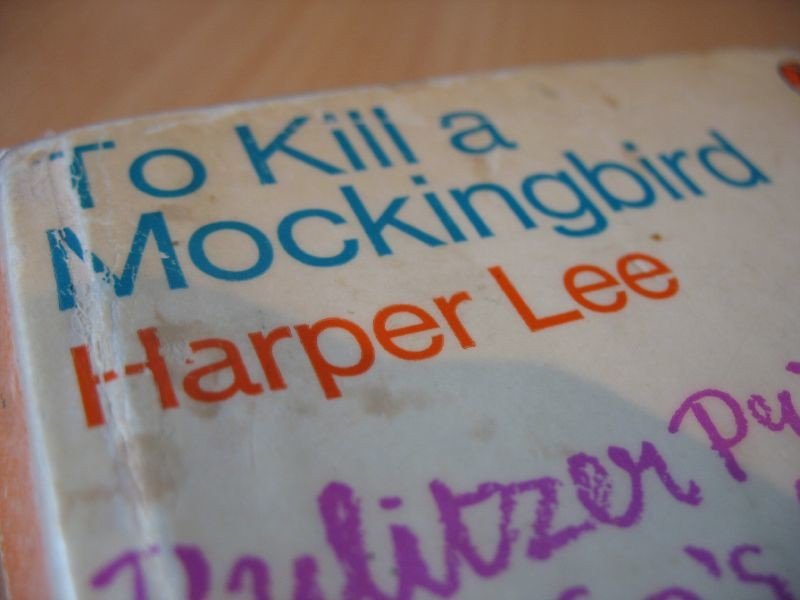 Scout Finch - To Kill a Mockingbird by Harper Lee (ups2006, Flickr, CC BY 2.0)