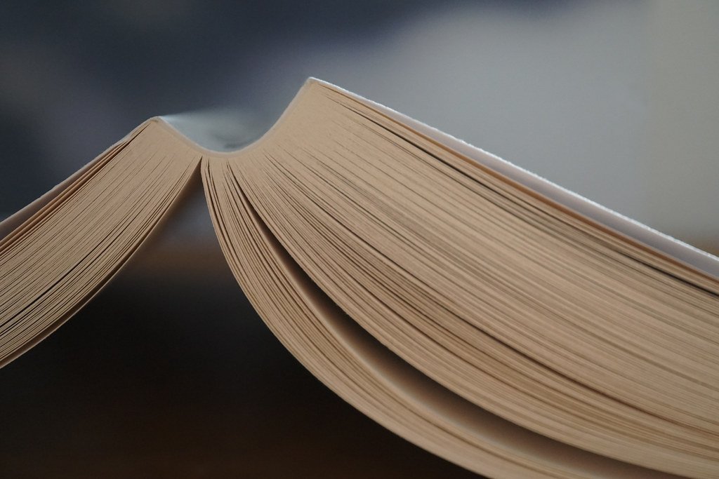 Eleanor Oliphant - Eleanor Oliphant Is Completely Fine by Gail Honeyman (Rosmarie Voegtli, Flickr, CC BY 2.0)