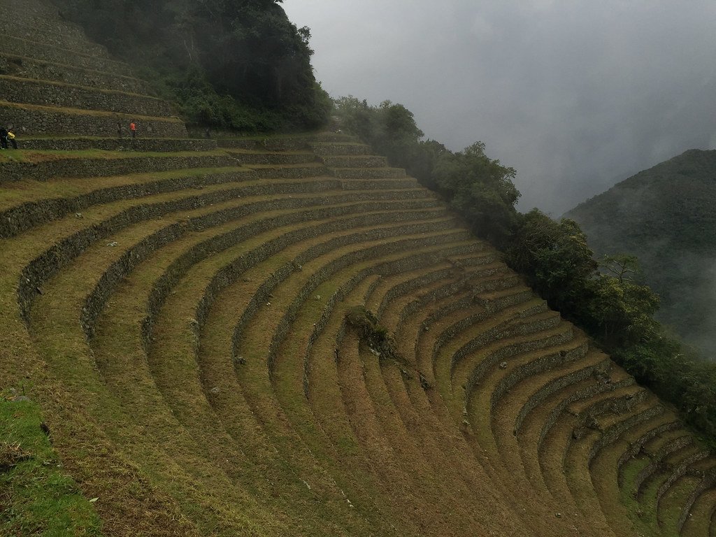 Inca Andean Plant Engineering (shri_ram_r, Flickr, CC BY 2.0)