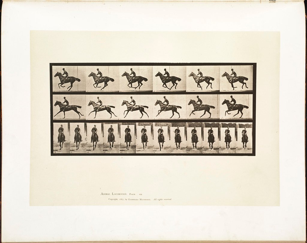 Eadweard Muybridge (Boston Public Library, Flickr, CC BY 2.0)
