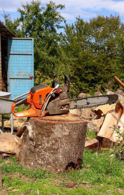 The Chainsaw (Image Credits: Pexels)