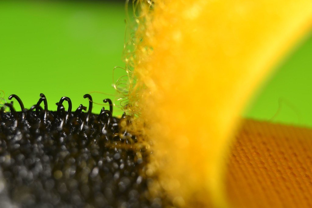 Velcro (marcos.sa, Flickr, CC BY 2.0)