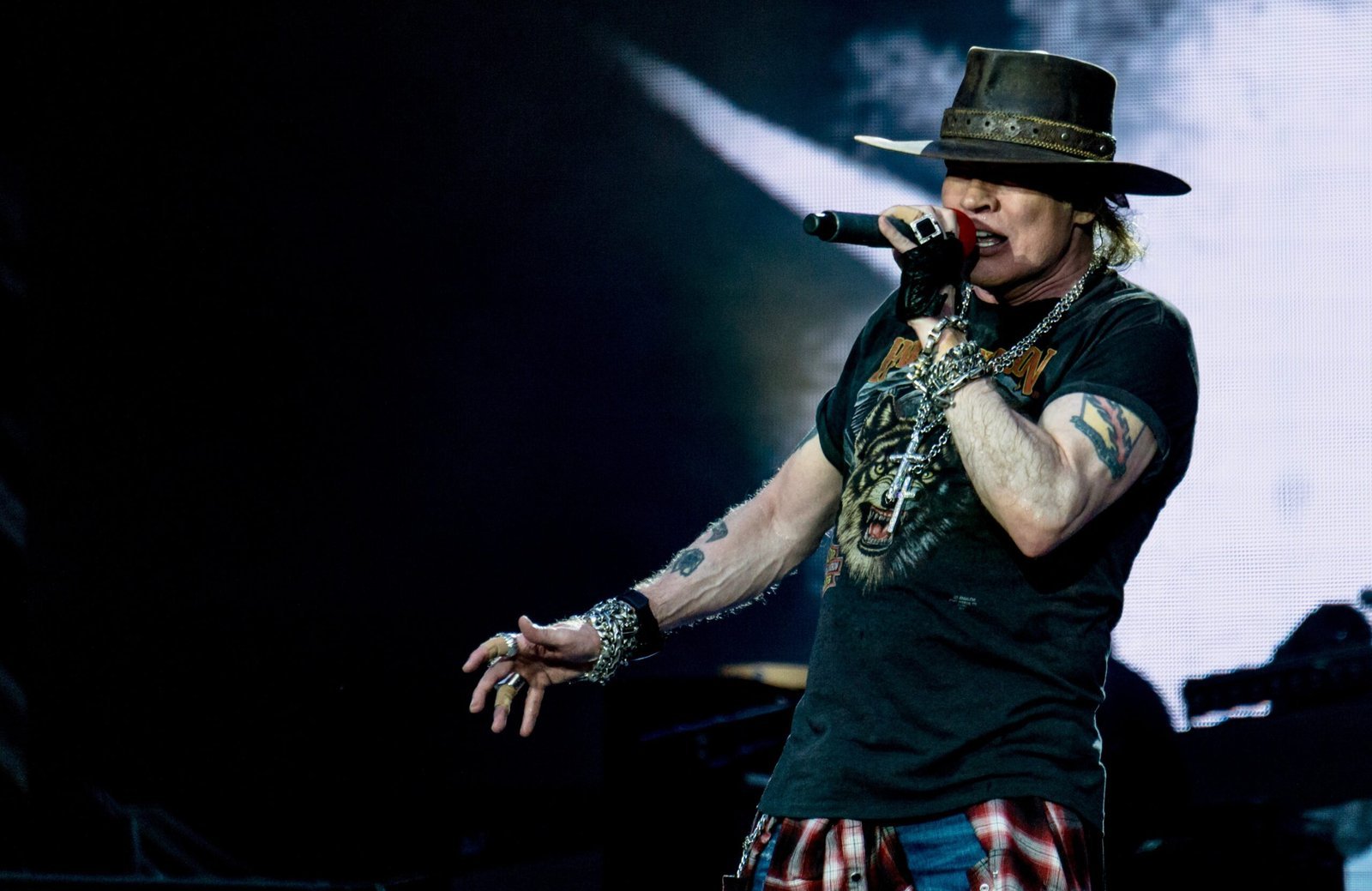 Raw Emotional Vocal Delivery (By Raph_PH, CC BY 2.0)