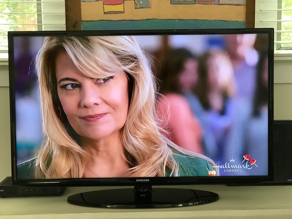 Lisa Whelchel (Steam Pipe Trunk Distribution Venue, Flickr, CC BY 2.0)