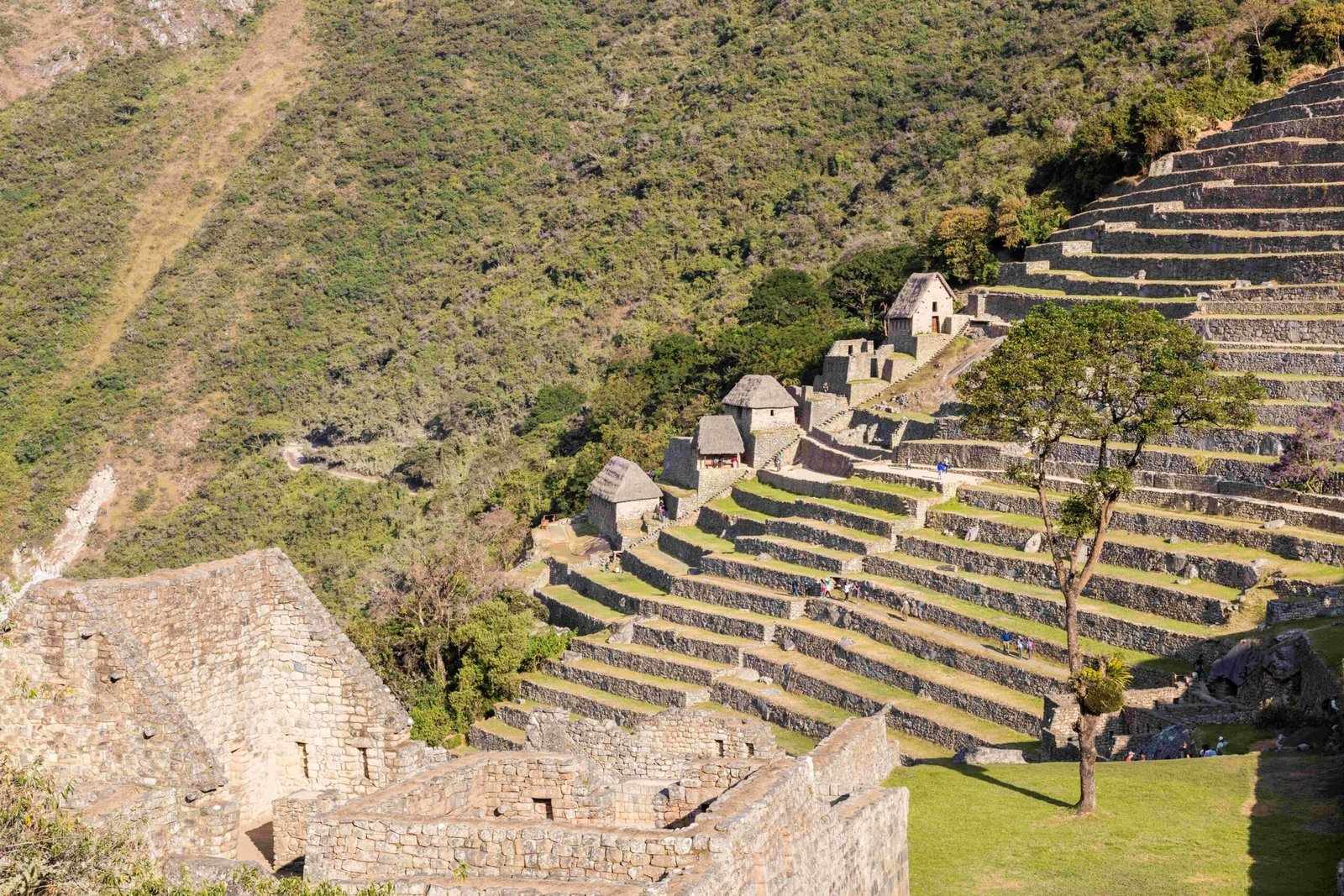 Machu Picchu, Peru (By Diego Delso, CC BY-SA 4.0)