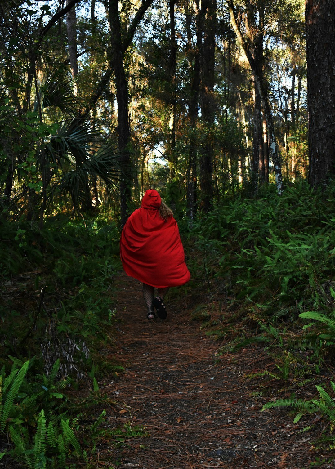 Little Red Riding Hood (Image Credits: Unsplash)