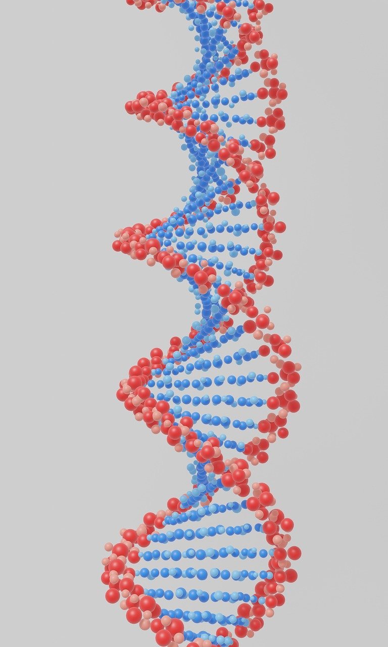 DNA Double Helix Structure (1953) (Image Credits: Pixabay)