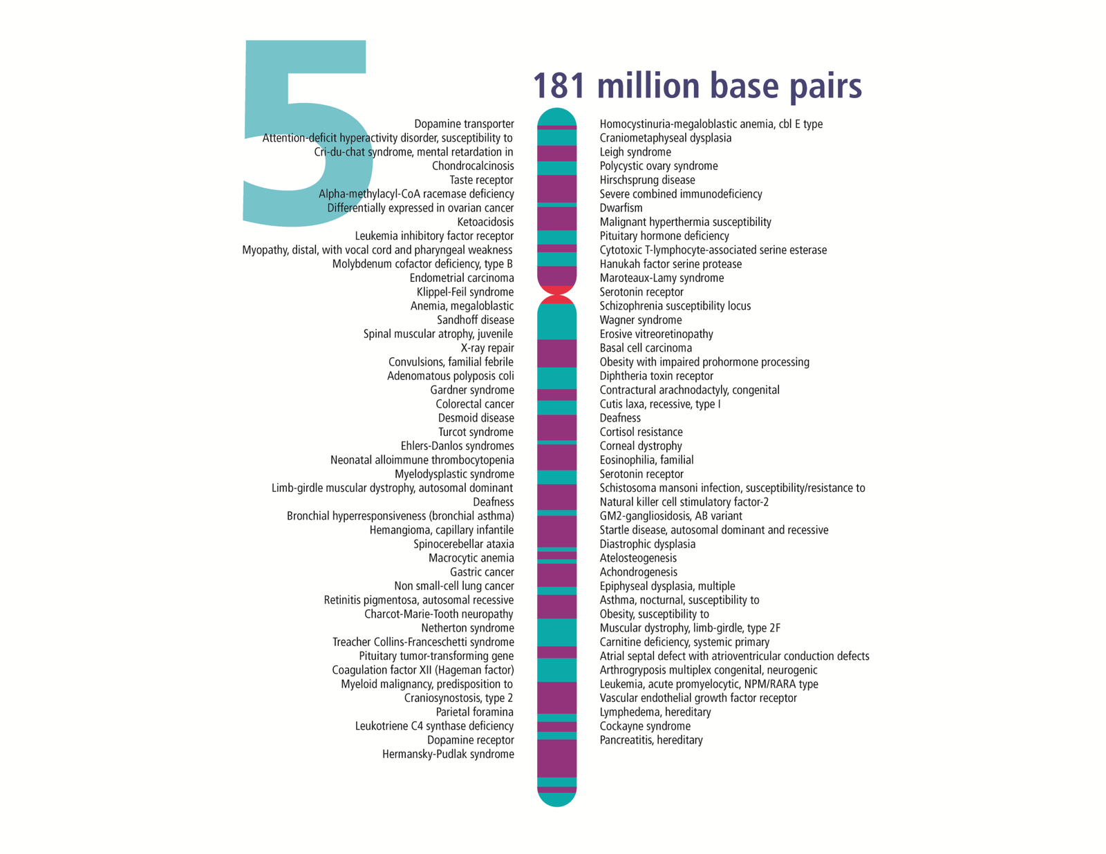 CRISPR-Cas9 Gene Editing (2012) (Human Chromosomes from "Human Genome Landmarks: Selected Genes, Traits, and Disorders" Poster, 2002. (Gene Gateway) from Human Genome Project (1990-2003) Image Gallery Archive, Public domain)