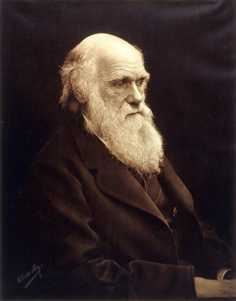 On the Origin of Species by Charles Darwin (Image Credits: Rawpixel)