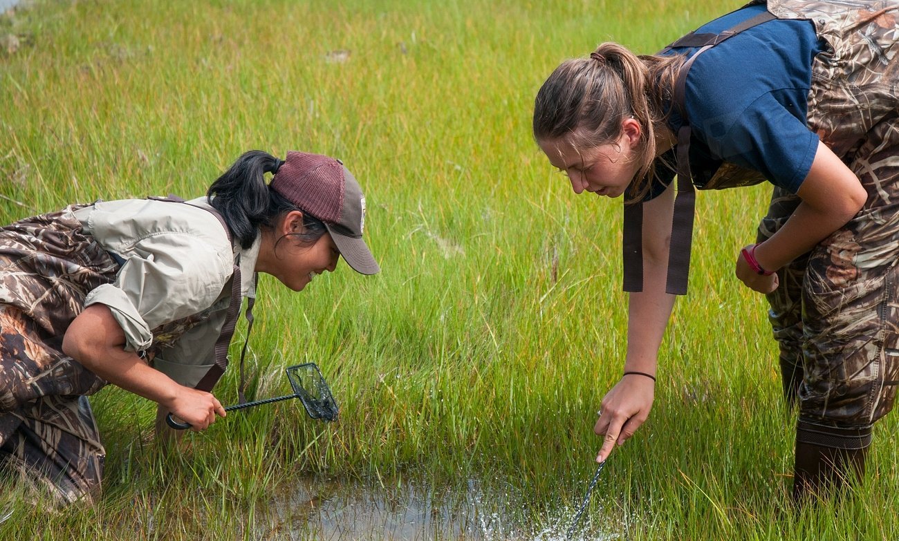Silent Spring by Rachel Carson (Image Credits: Rawpixel)