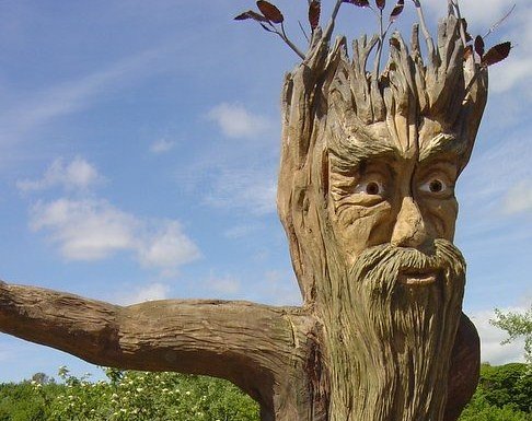 Treebeard from The Lord of the Rings (siddhu2020, Flickr, CC BY 2.0)
