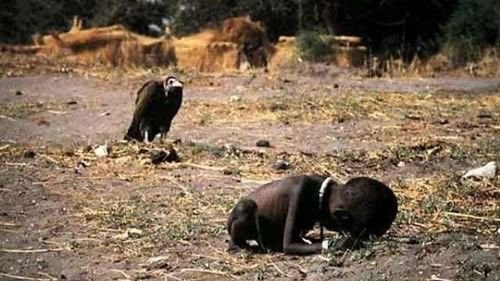 The True Stories Behind the World's Most Iconic Photojournalism Moments Are Dramatic.