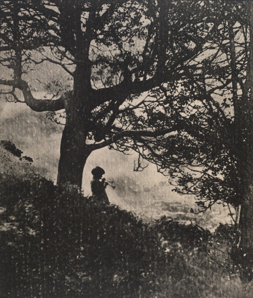 Peter Pan (Image Credits: Rawpixel)