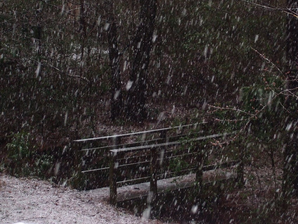 Bridge to Terabithia (Listener42, Flickr, CC BY-SA 2.0)