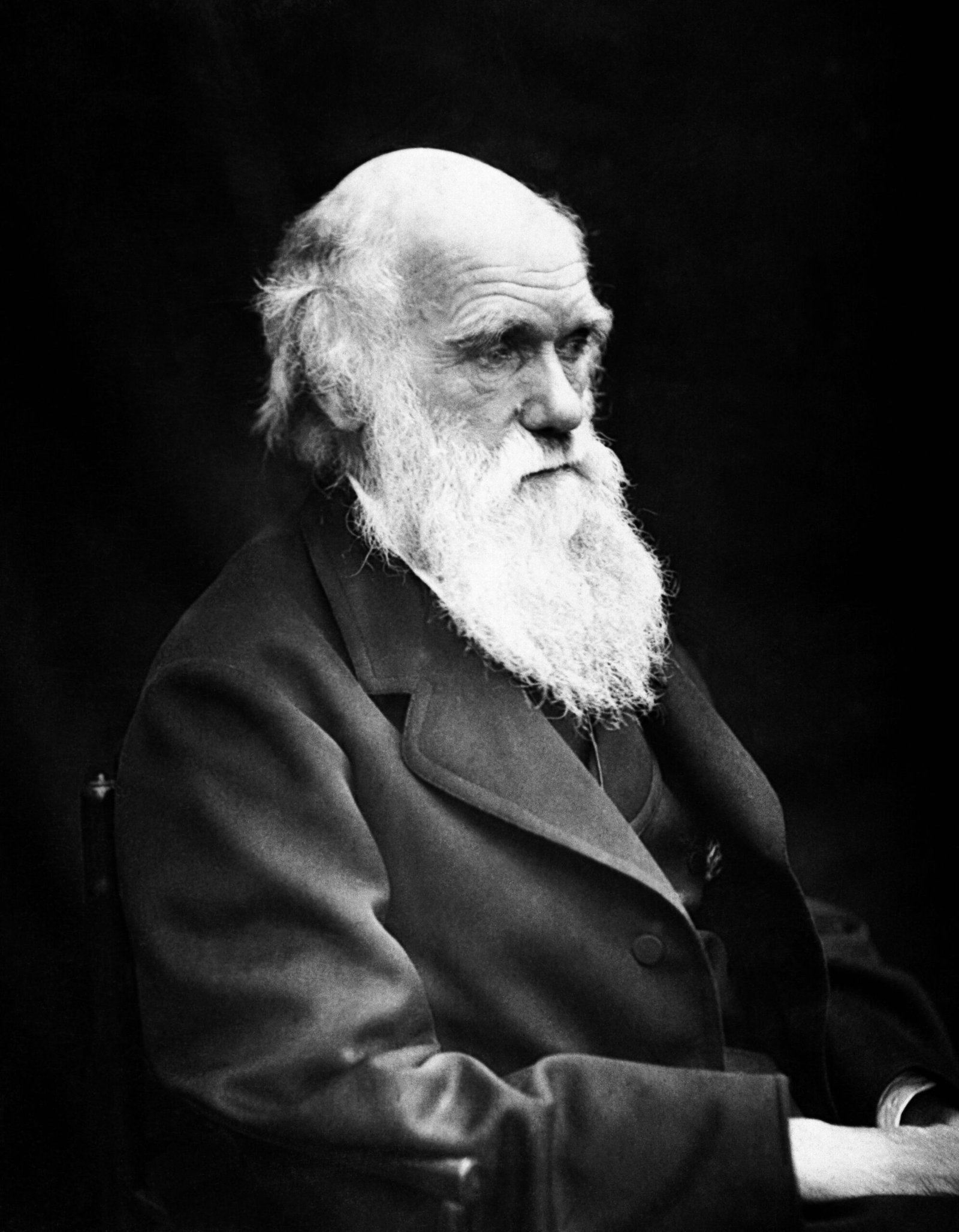 Darwin's Theory of Natural Selection (Unknown sourceUnknown source, Public domain)