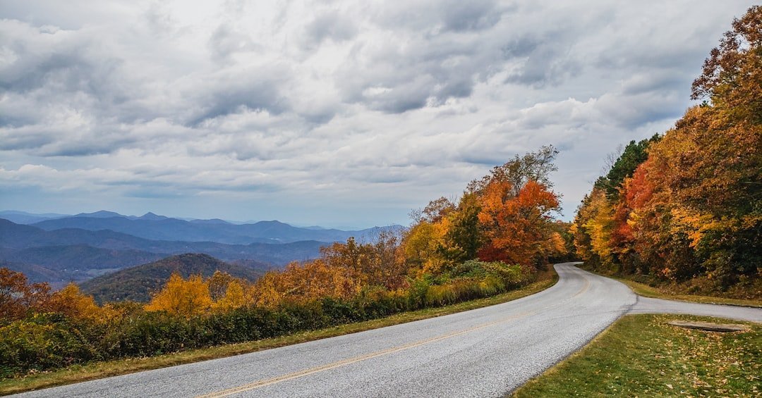 3. Blue Ridge Parkway: Virginia to North Carolina (Image Credits: Unsplash)