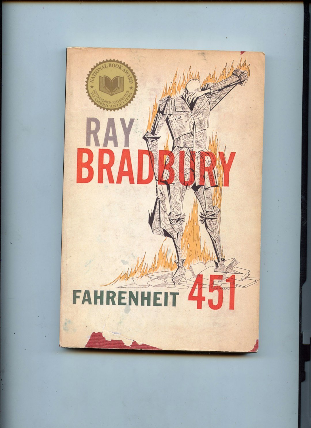 Fahrenheit 451 by Ray Bradbury (Image Credits: Unsplash)
