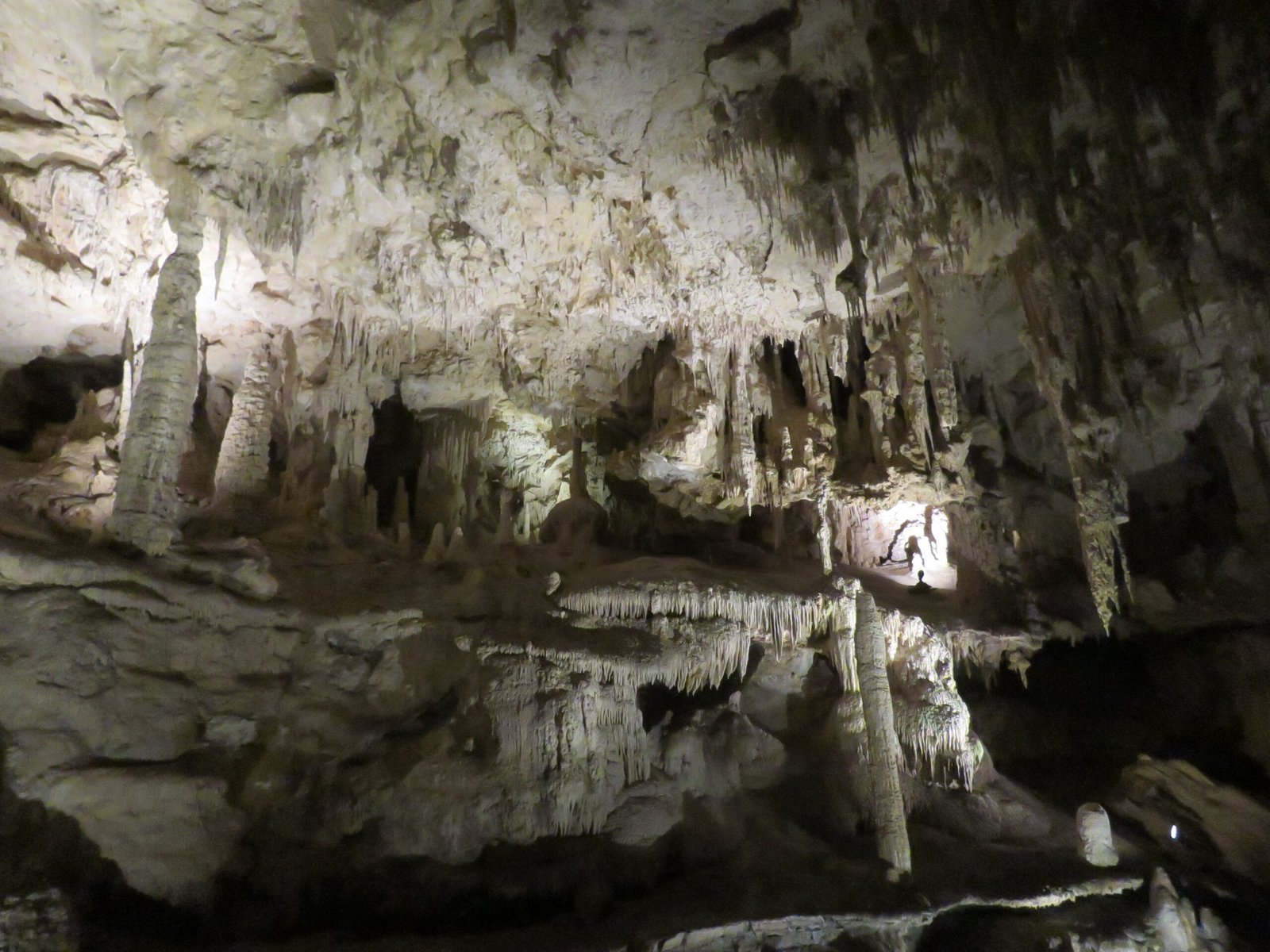 Mammoth Cave National Park, Kentucky (By Calistemon, CC BY-SA 4.0)