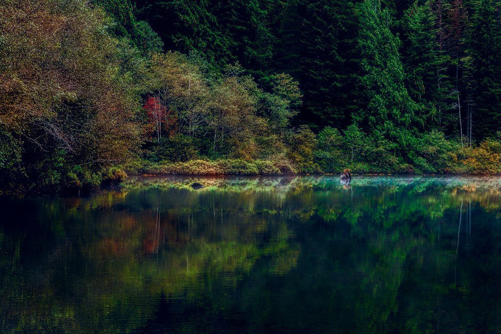 Rediscovering Overlooked Landscapes (docoverachiever, Flickr, CC BY 2.0)