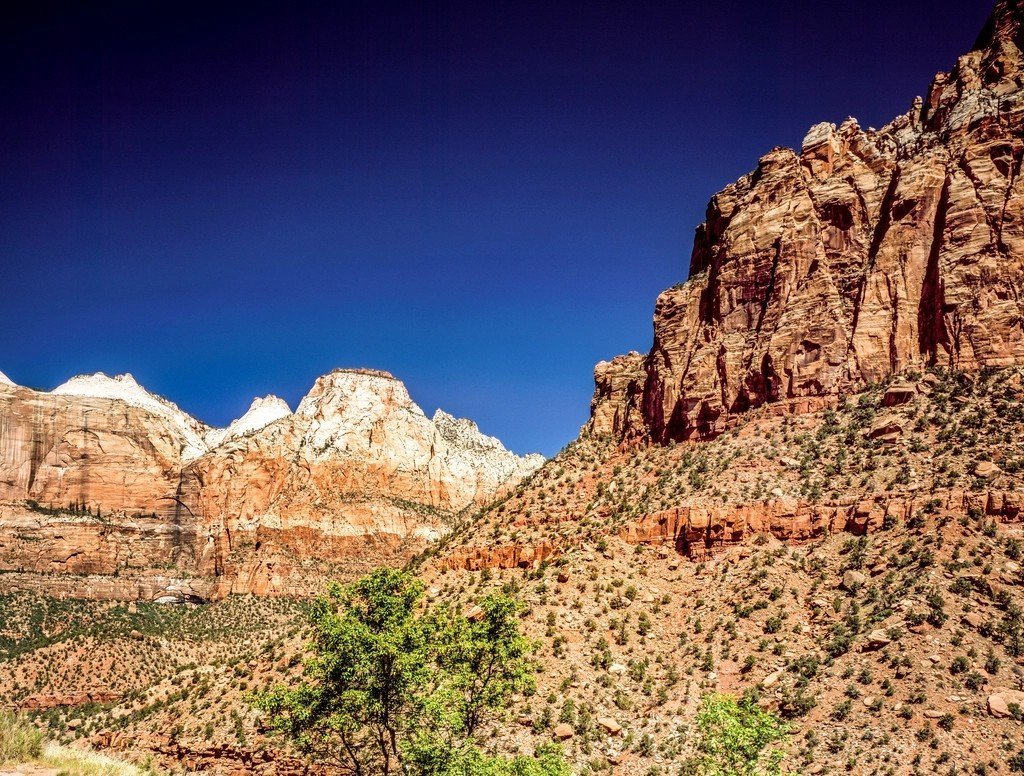 Zion National Park (Image Credits: Rawpixel)