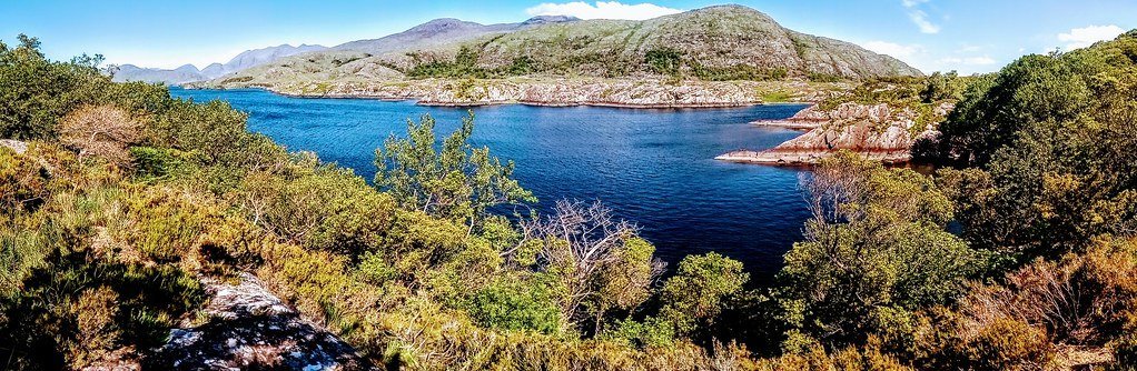 The Conservation Legacy (Image Credits: Flickr)