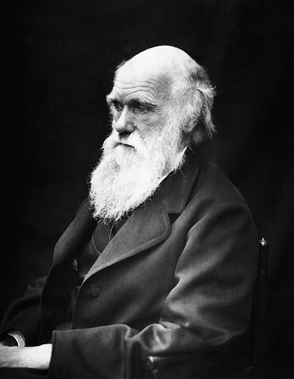Charles Darwin the Botanical Artist (Image Credits: Pixabay)