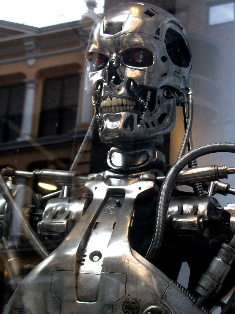 The Terminator (1984) (edenpictures, Flickr, CC BY 2.0)