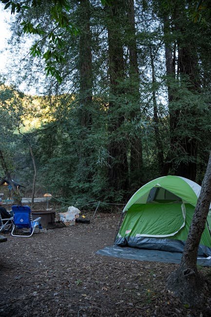 Pfeiffer Big Sur State Park Campground (Image Credits: Pexels)