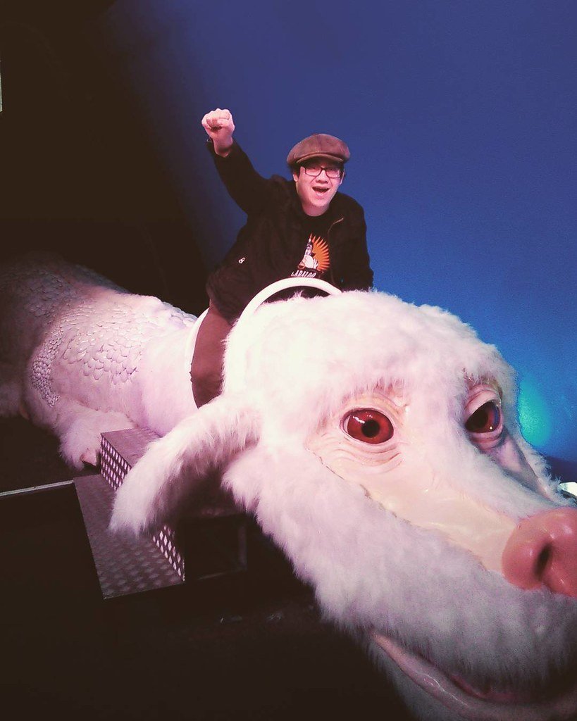 The Neverending Story: Michael Ende's Fantasy Warning (librarianidol, Flickr, CC BY 2.0)