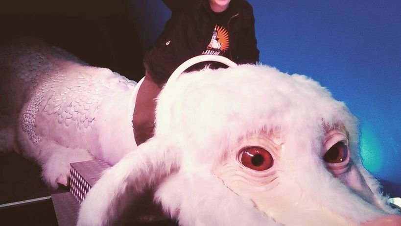 10 Literary Masterpieces That Were Dramatically Adapted into Iconic Films (And Sparked Debate)