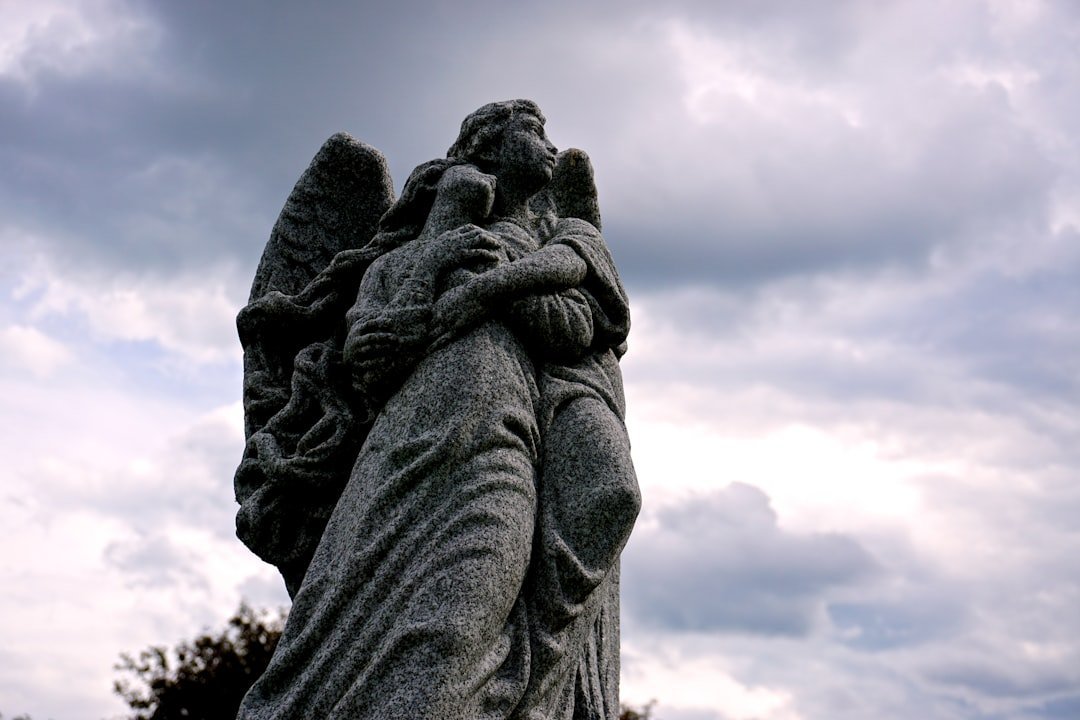 "In the arms of the angel" by Sarah McLachlan (Image Credits: Unsplash)