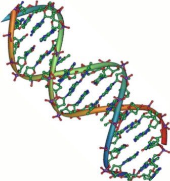 5. DNA Structure by James Watson, Francis Crick, and Rosalind Franklin (1953) (By Jerome Walker,Dennis Myts, Public domain)