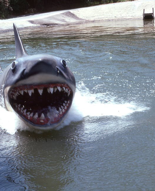 Roy Scheider's Shocked Discovery in Jaws (Image Credits: Pexels)