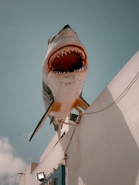 Jaws (1975) (Image Credits: Pexels)