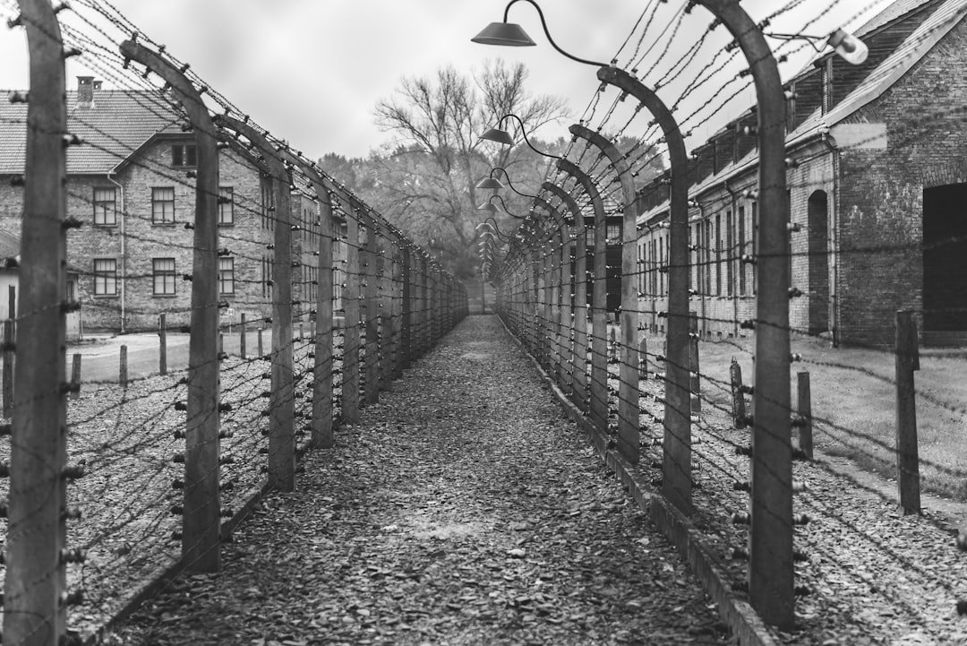 Schindler's List (1993) (Image Credits: Unsplash)