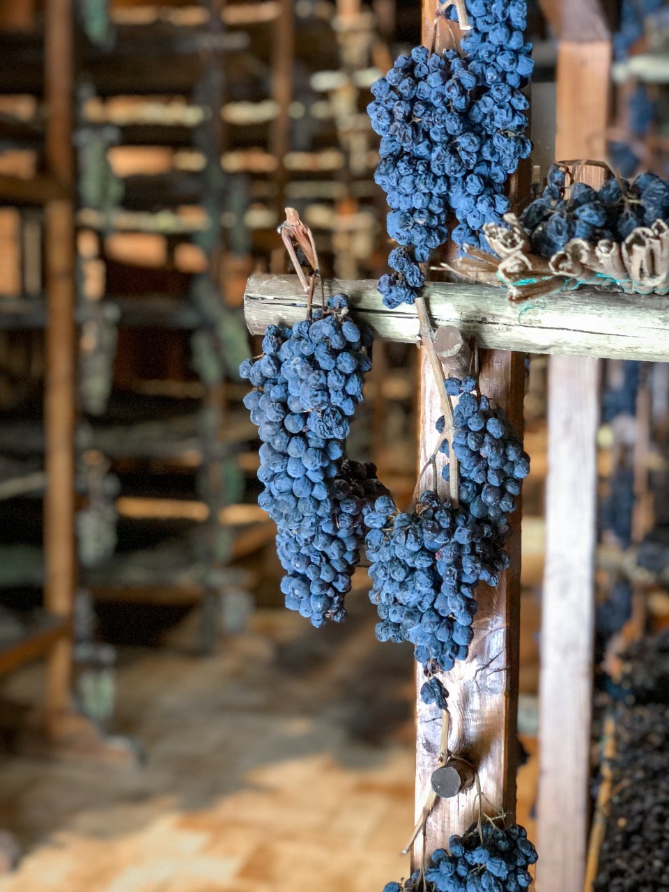 Maynard James Keenan: Winemaking Craft (Image Credits: Stocksnap)