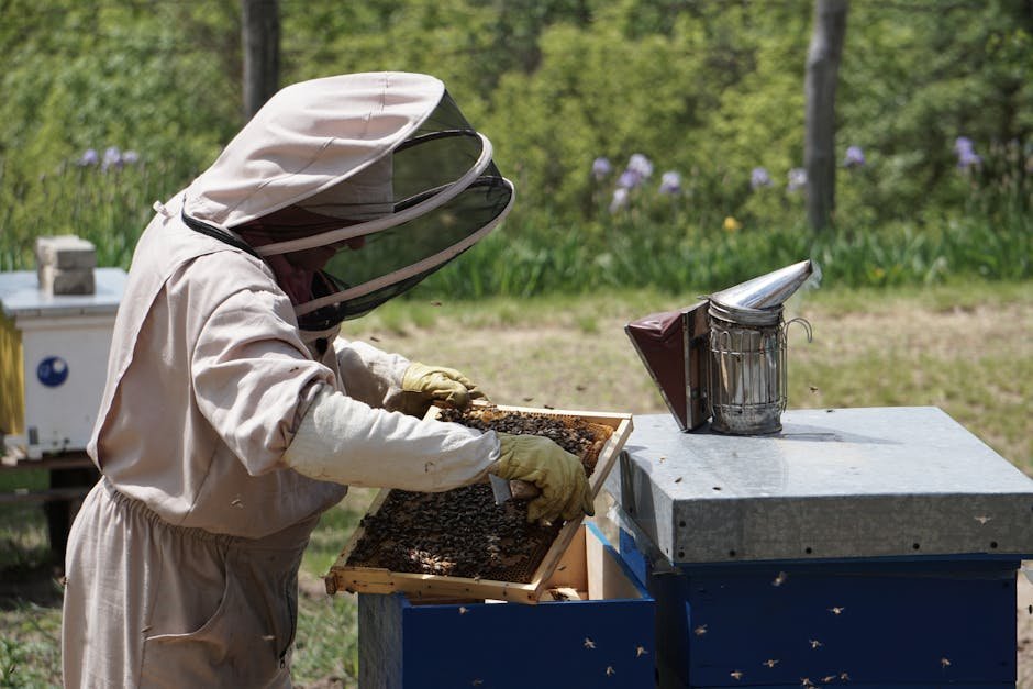 James Hetfield: Apiary Mastery (Image Credits: Pexels)