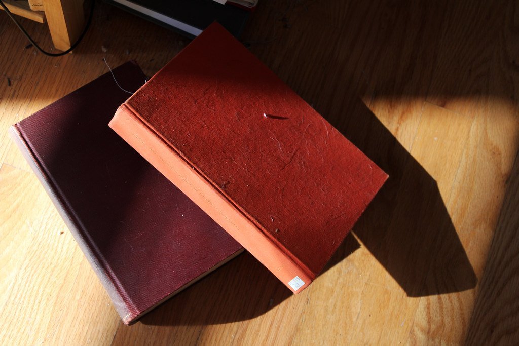 The Lasting Power of Narrative Surprise (quinn.anya, Flickr, CC BY-SA 2.0)