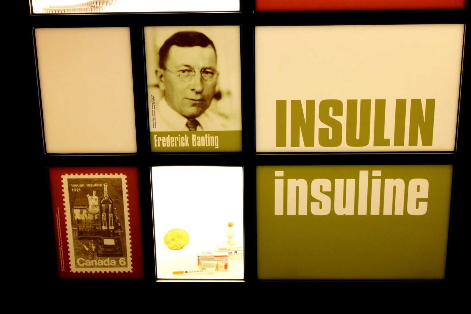 Insulin: Frederick Banting and Charles Best in 1921 (By Fxp42, CC BY-SA 3.0)