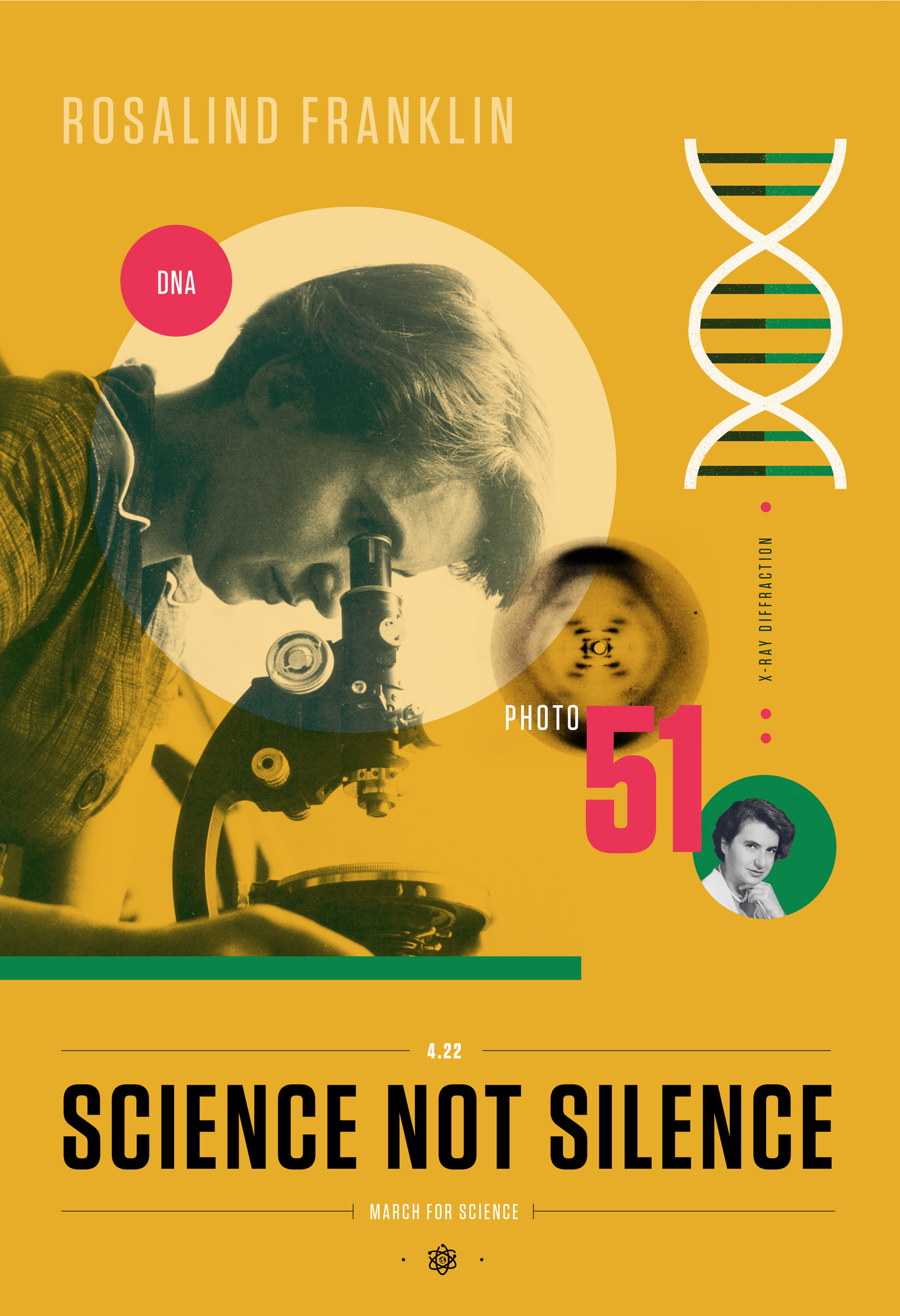 Rosalind Franklin (By Amanda Phingbodhipakkiya, CC BY-SA 4.0)