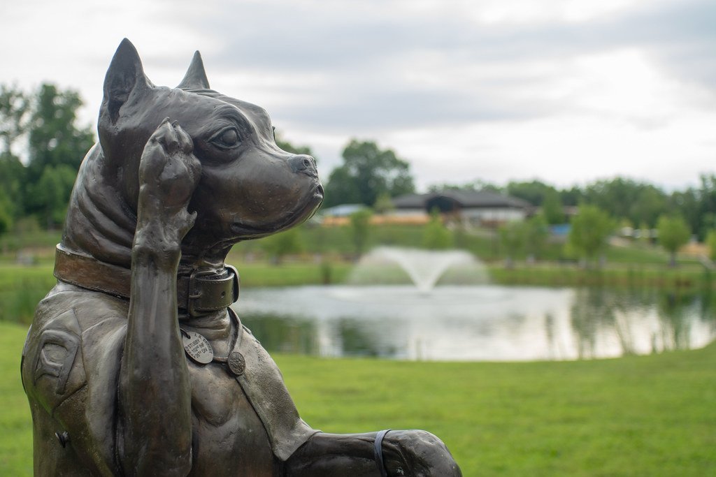 1. Sergeant Stubby: The Stray Dog Who Became a War Hero (ethan.long, Flickr, CC BY-SA 2.0)